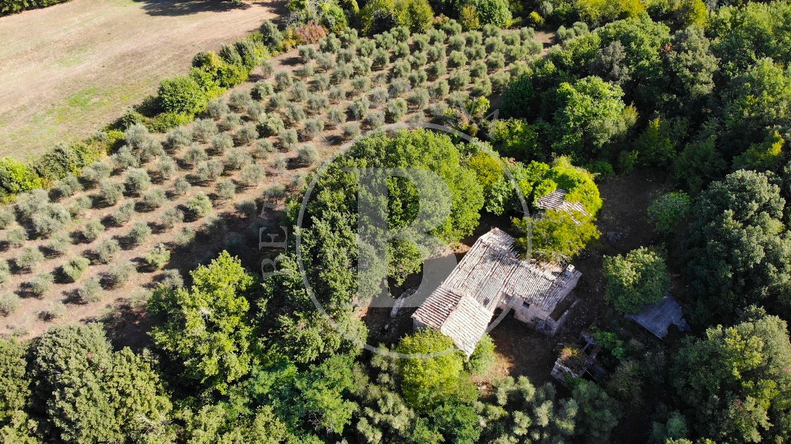 FARMHOUSE WITH BARN - Casole d'Elsa (Si)