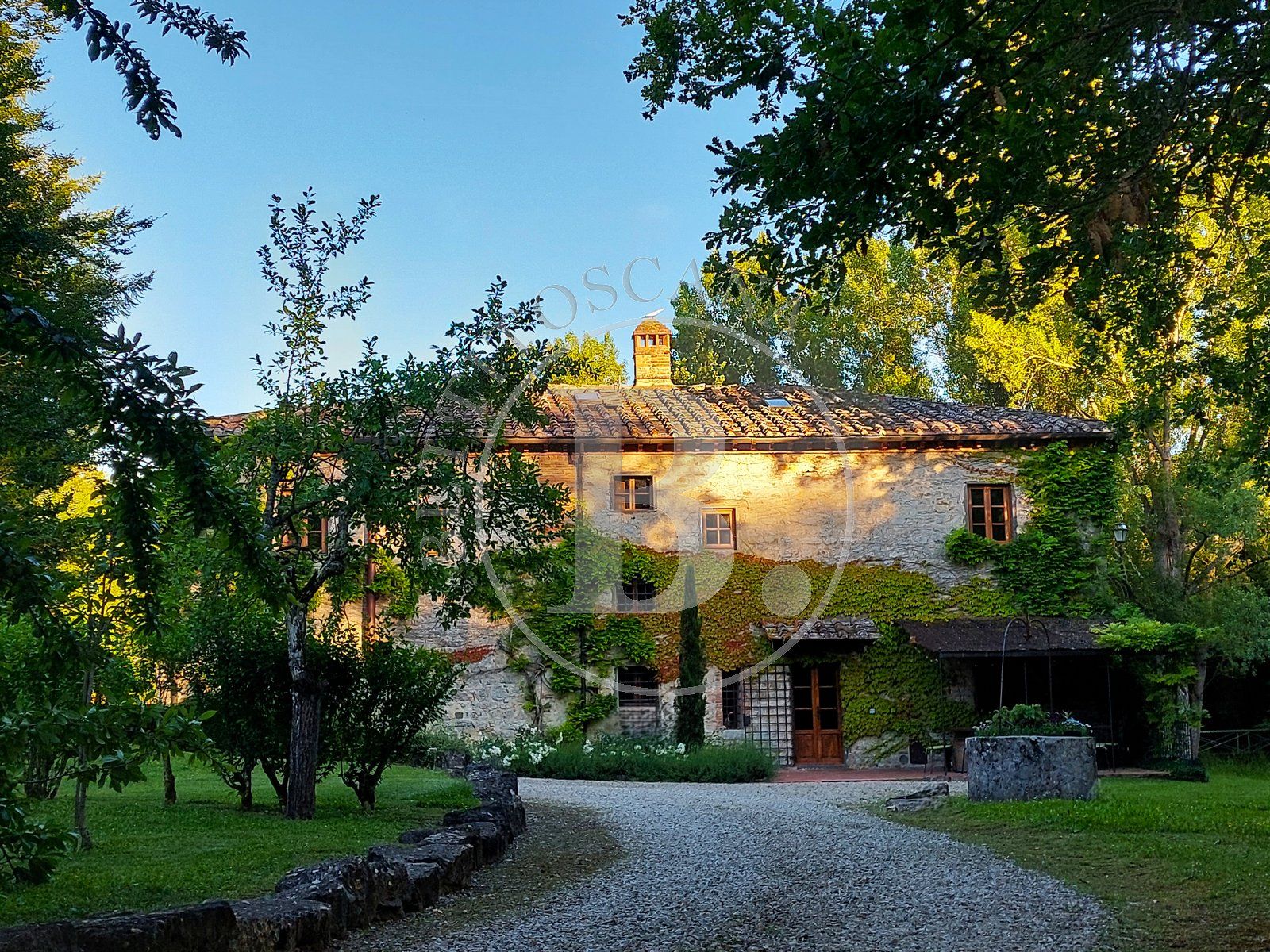 FARMHOUSE WITH DEPENDANCE - Gaiole in Chianti (Si)