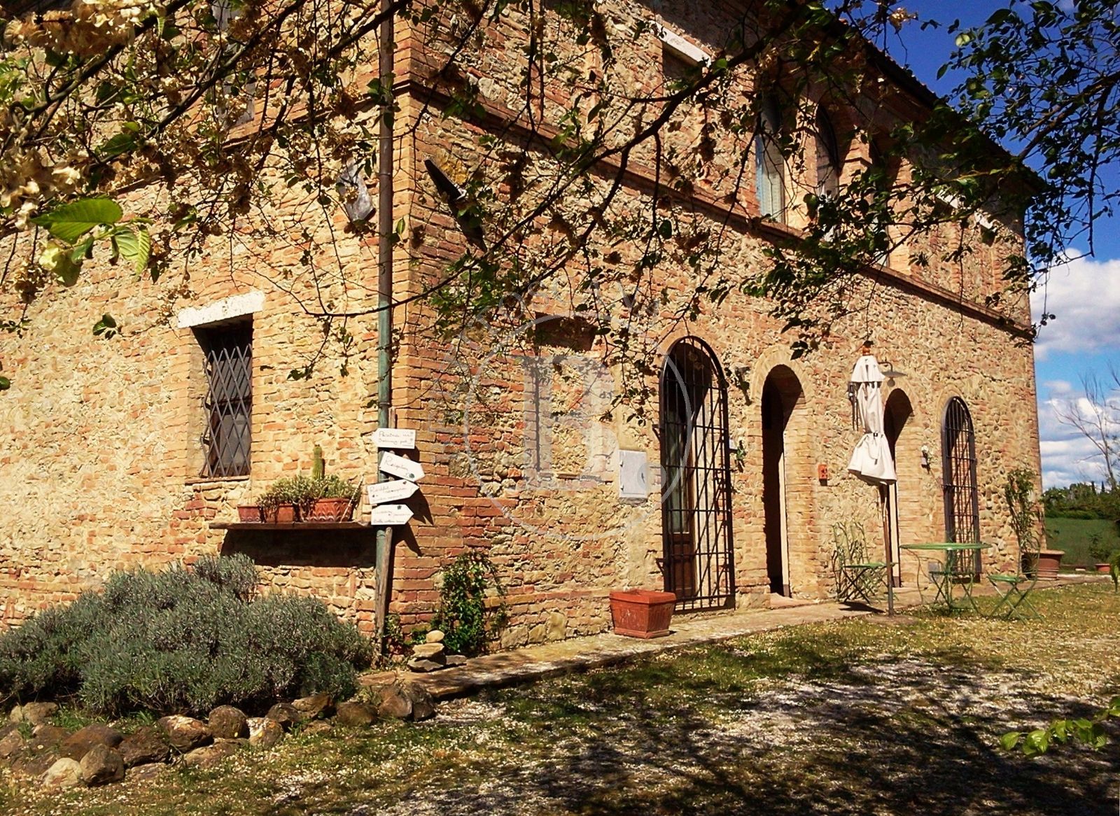 HOLIDAY FARM - Buonconvento (Si)