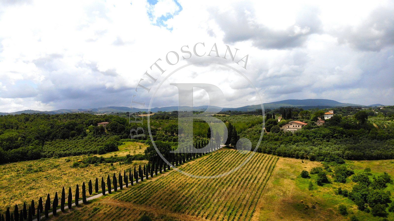 63 Ha ESTATE - Between Siena and Florence