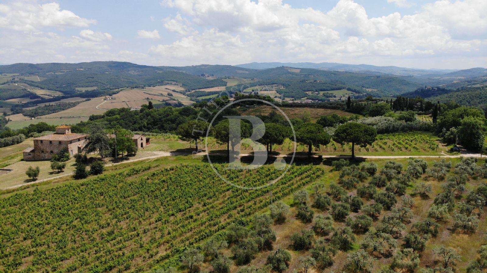 CHIANTI FARMHOUSE WITH ANNEX - Tavarnelle Val di Pesa (Fi)