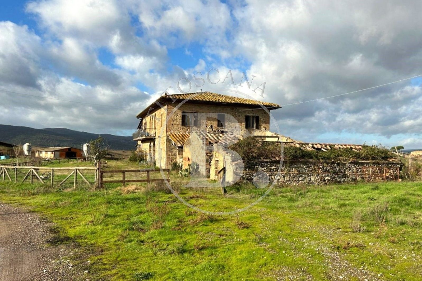 Farm - Montalcino (Si)