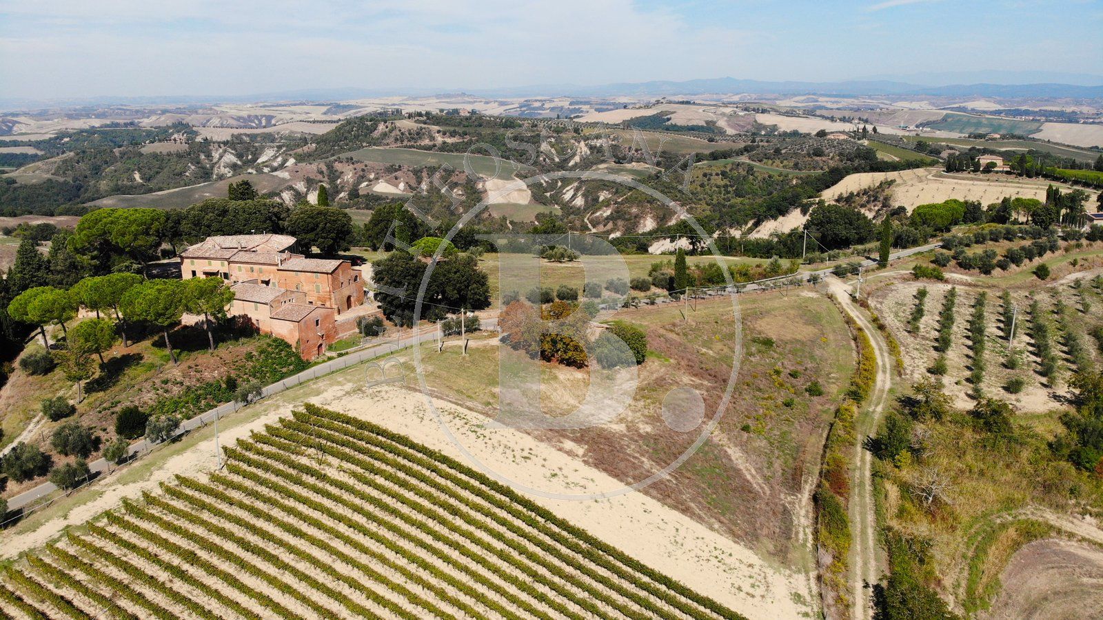 ORGANIC FARM -  Asciano (Si)